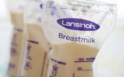 Sistem Informasi tentang Kesehatan Lingkungan untuk Warga Teluk Bintuni