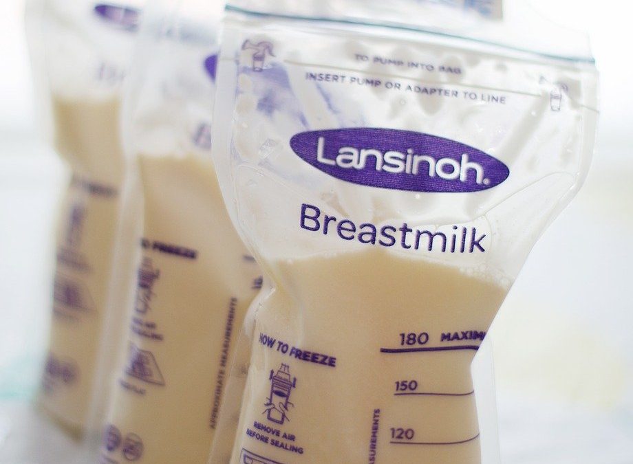 Sistem Informasi tentang Kesehatan Lingkungan untuk Warga Teluk Bintuni